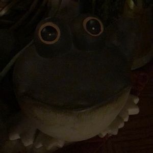 Meet your Posher, Lorrie